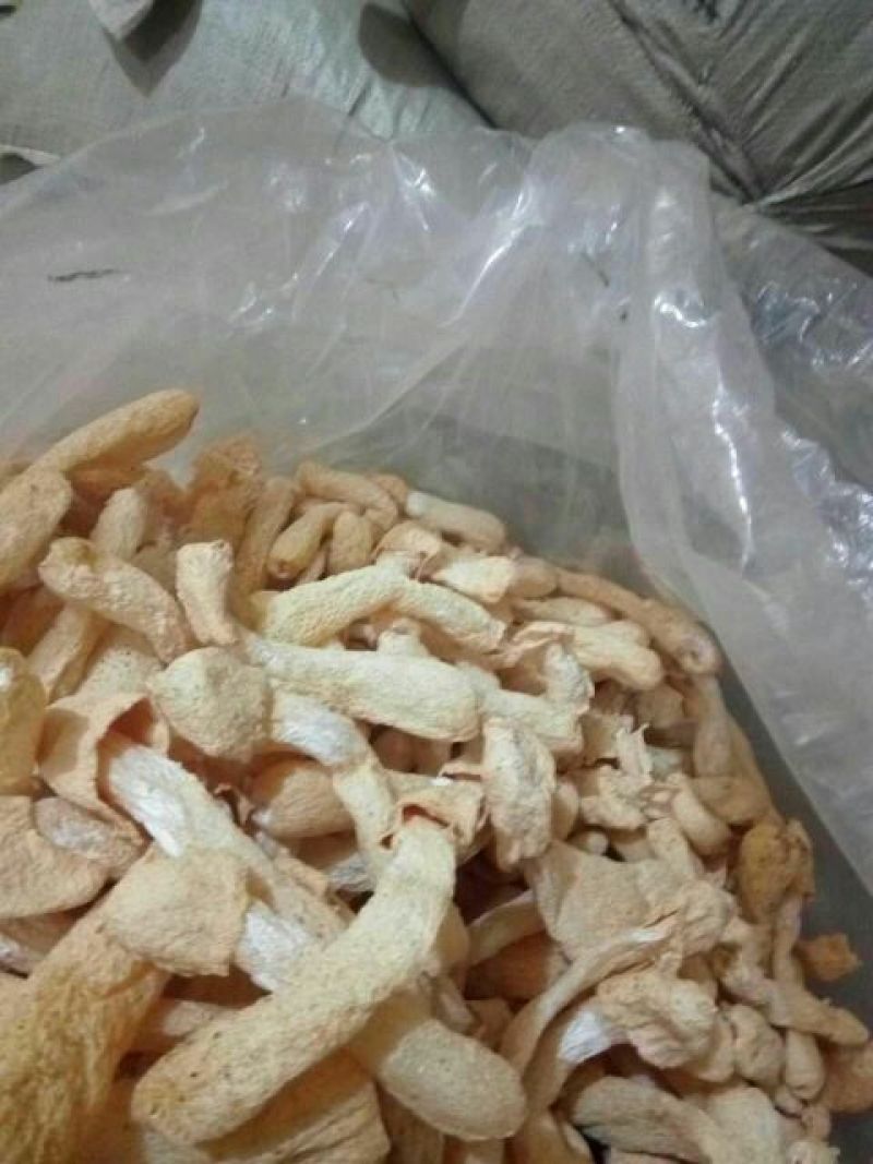 干竹荪特级