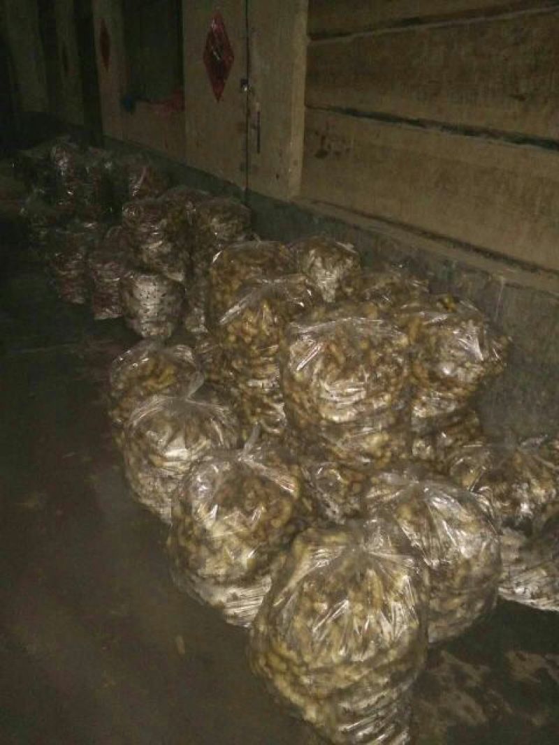 生姜5两以上水洗