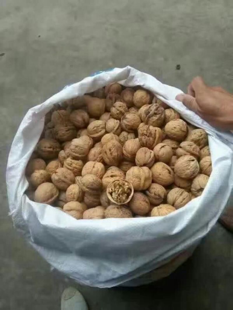 薄皮核桃30mm以上去皮