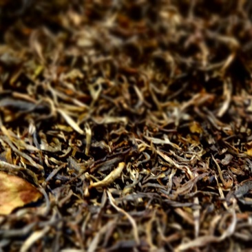 百年大树茶一级