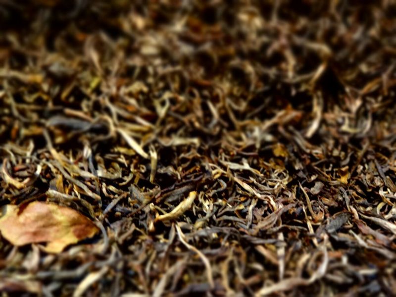 百年大树茶一级