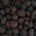 茶树油山茶油