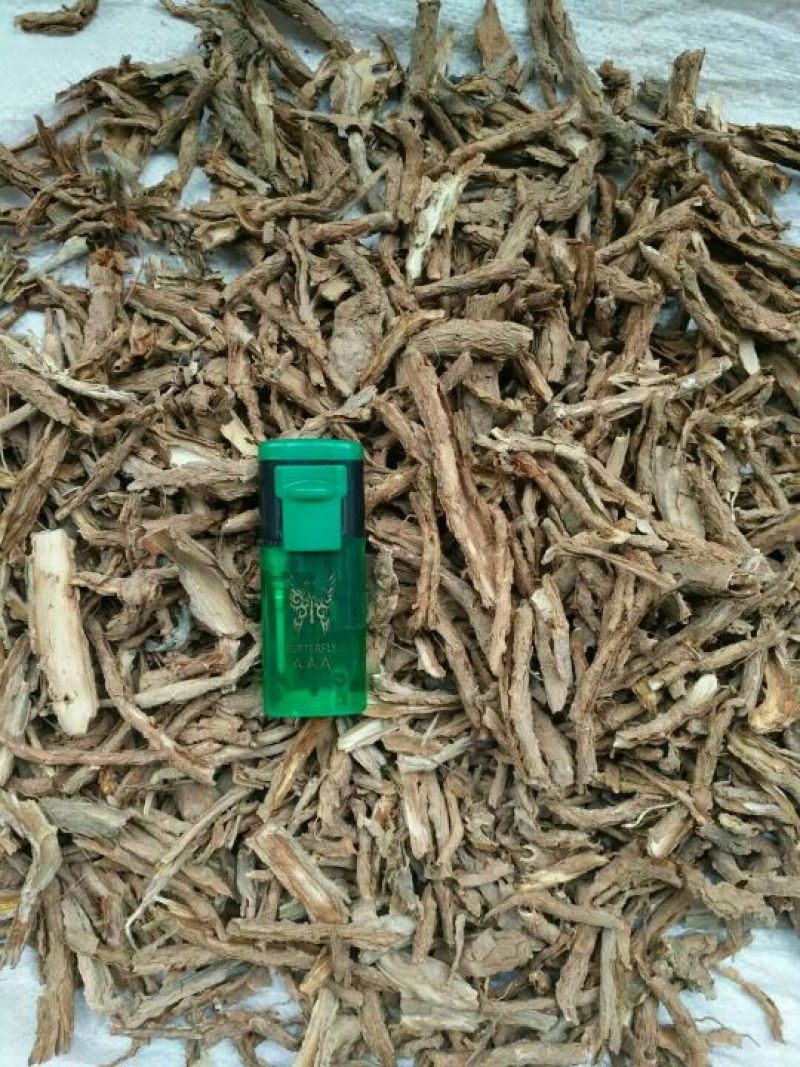 地骨皮