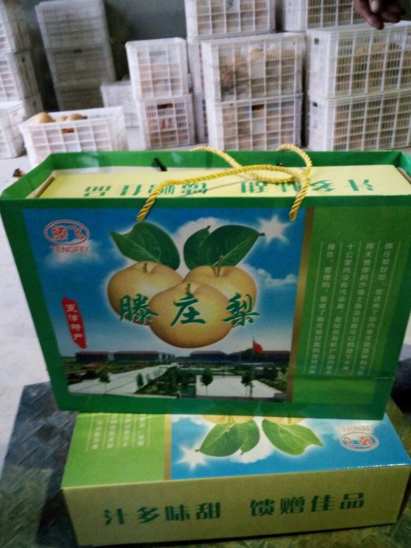 黄晶梨550~600g纸箱