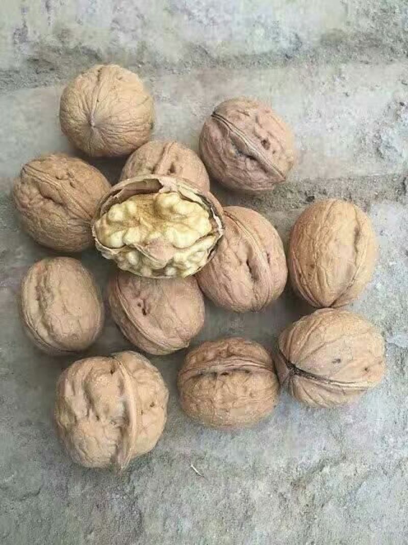 薄皮核桃30mm以上去皮