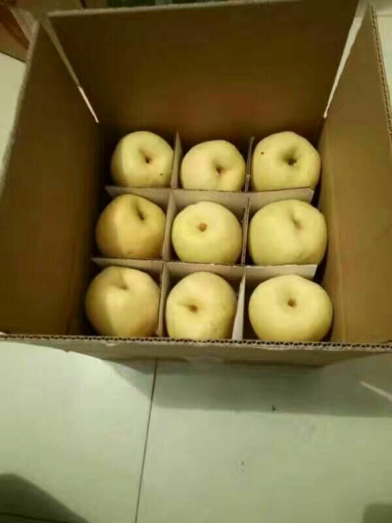 贡梨200~250g纸箱