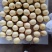 皇冠梨纸袋250~300g