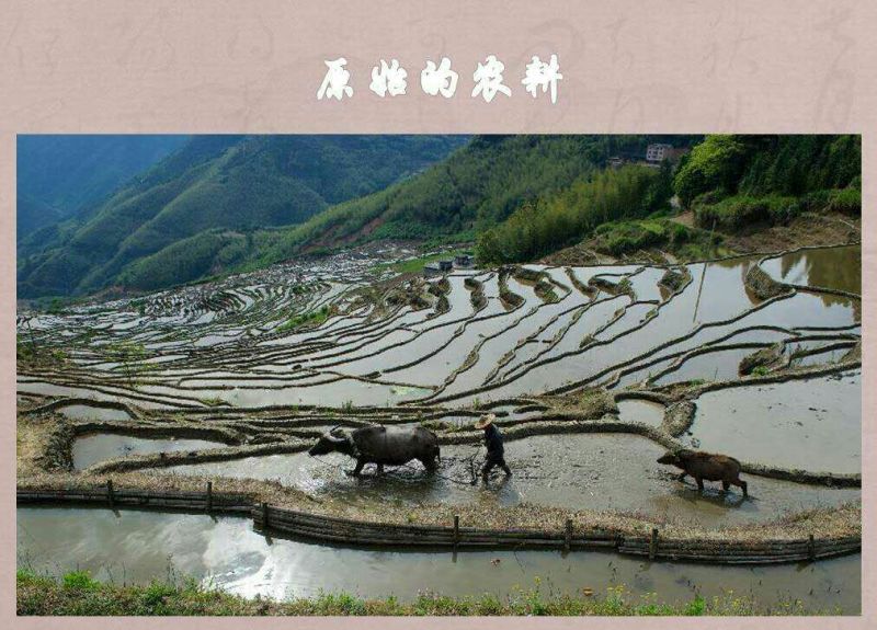 米线