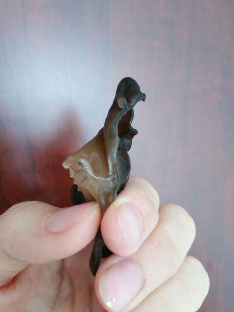 黑木耳特级