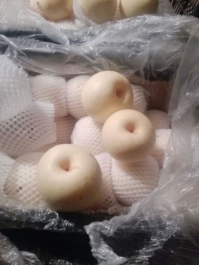 皇冠梨350~400g纸袋