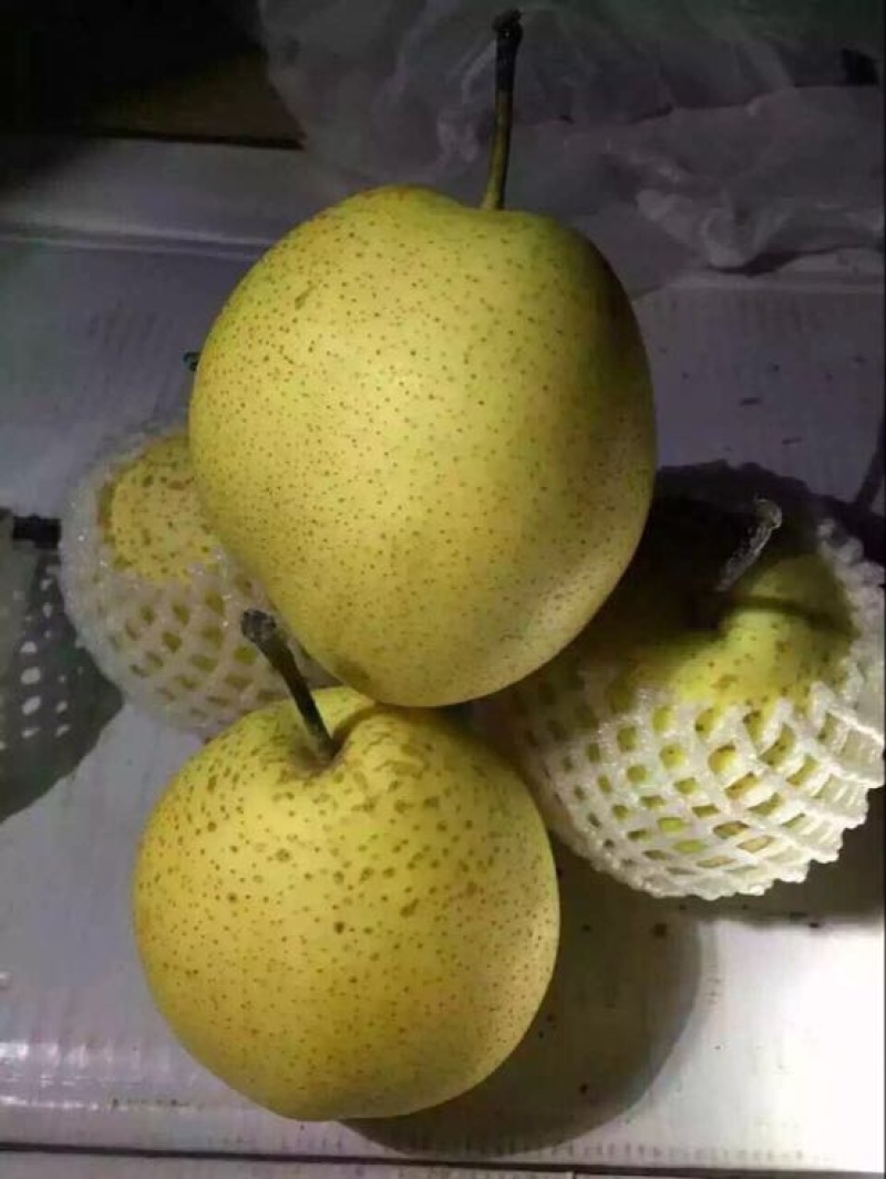 雪花梨