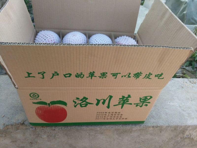 洛川苹果75mm以上纸袋