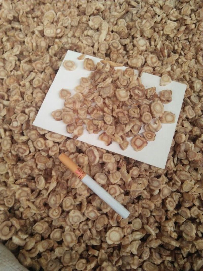北沙参干刮皮统人工栽培