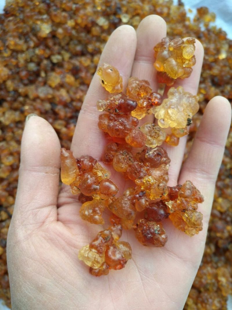 桃胶湖北随州产地直发包邮各种规格都有多少都可以发货