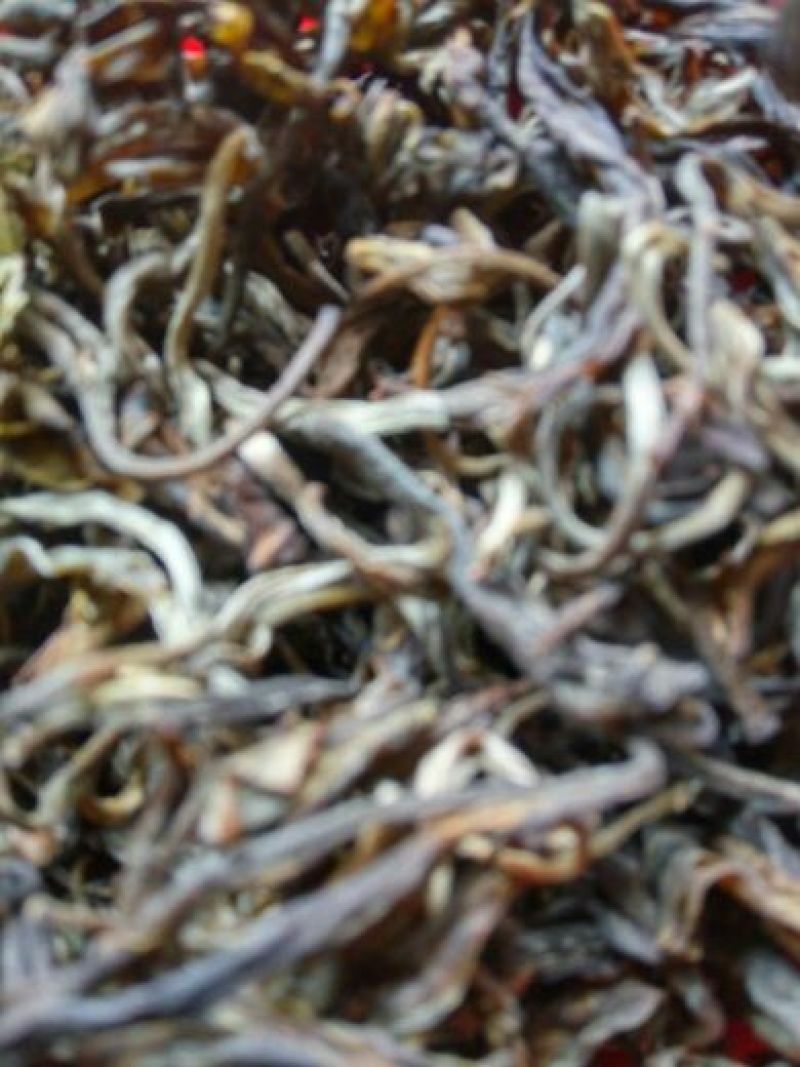 本山茶一级