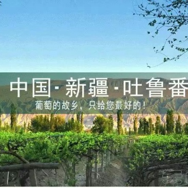 白葡萄1~2斤5%以下