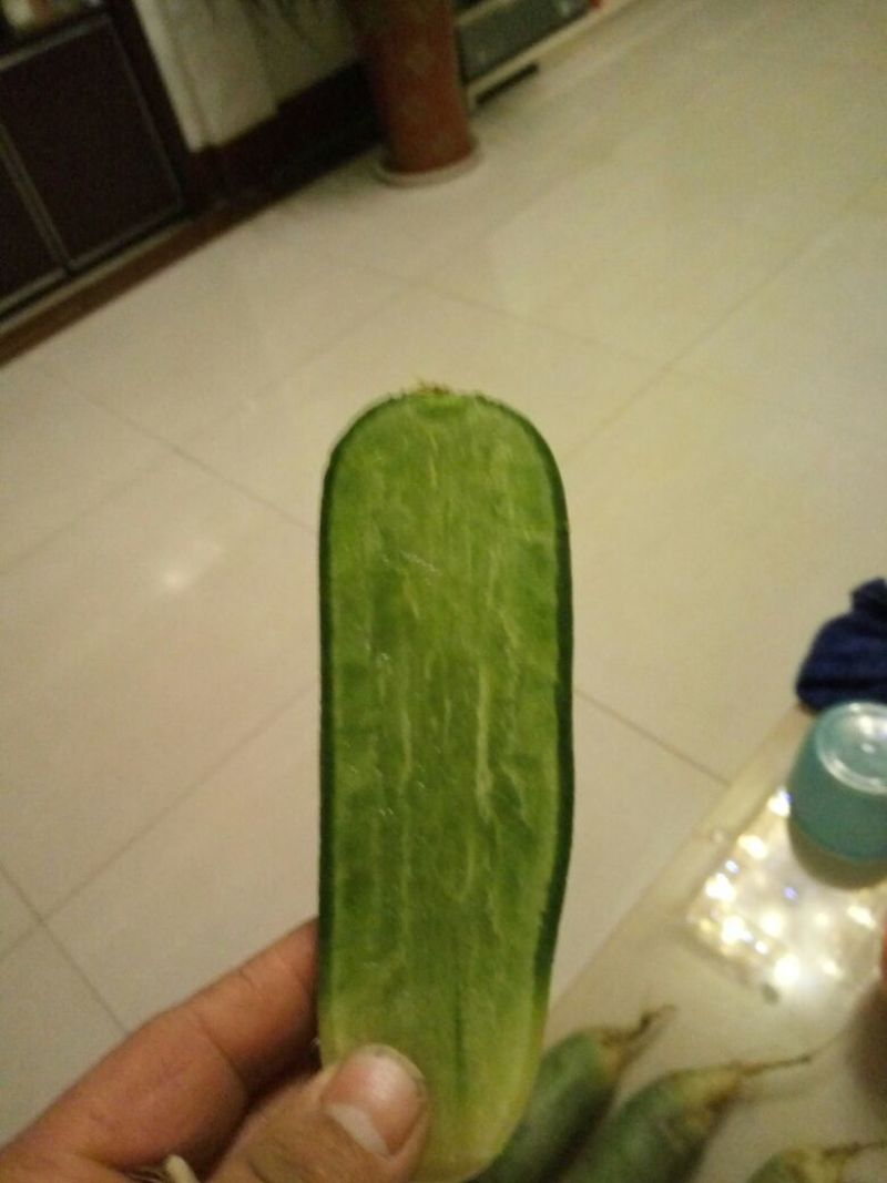 里外绿水果萝卜，春秋季种植，库存供货。滕州