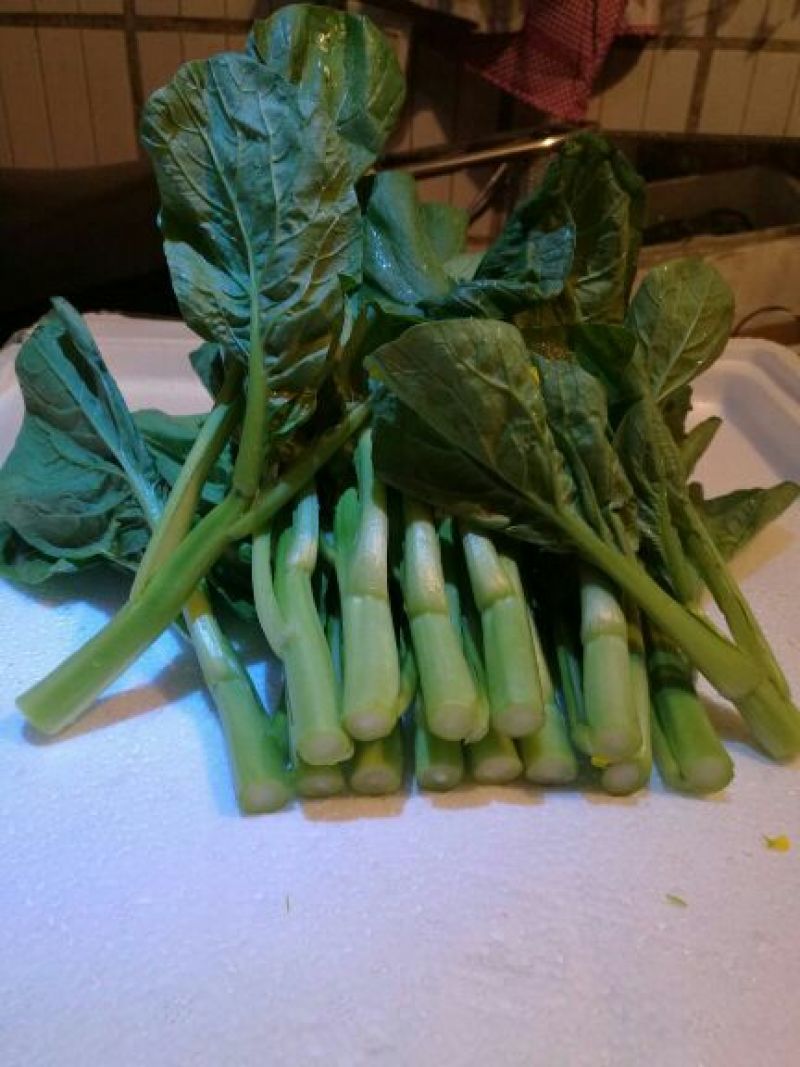 菜苔