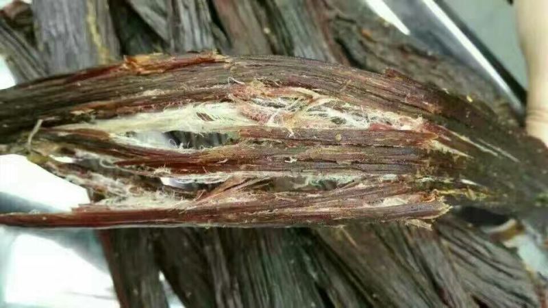 牛肉干牦牛肉鲜肉