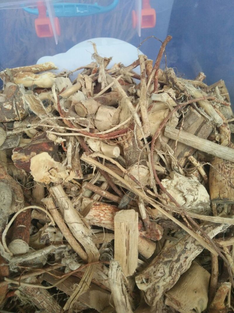 五指毛桃中根
