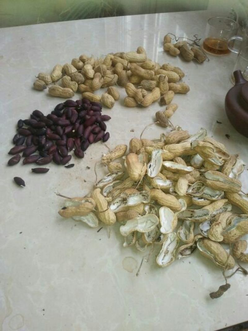 黑花生干货带壳