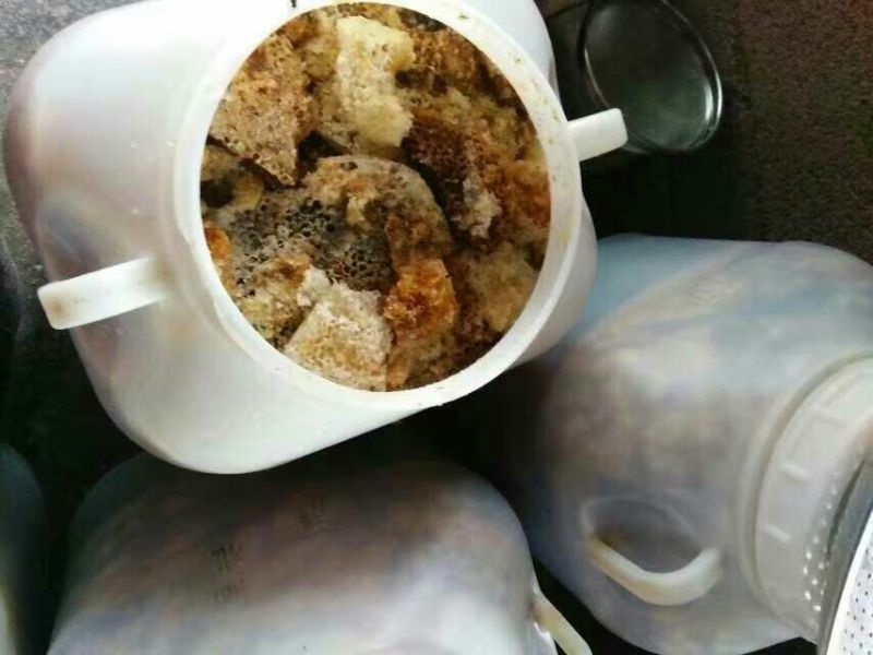 云南野生土蜂蜜石蜂蜜2斤