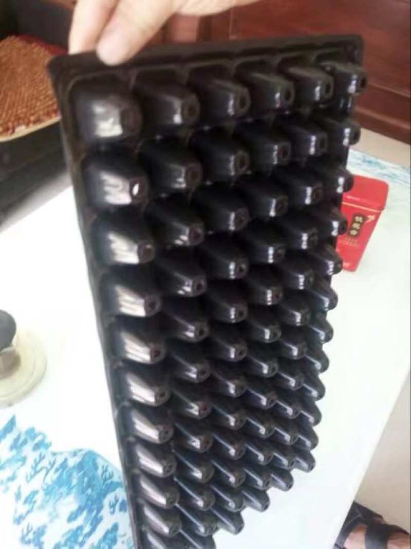 穴盘