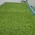 石阡苔茶一级