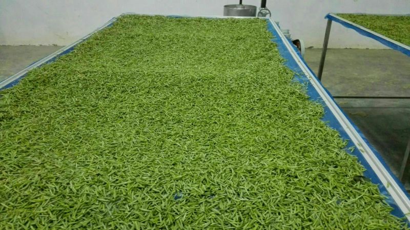 石阡苔茶一级