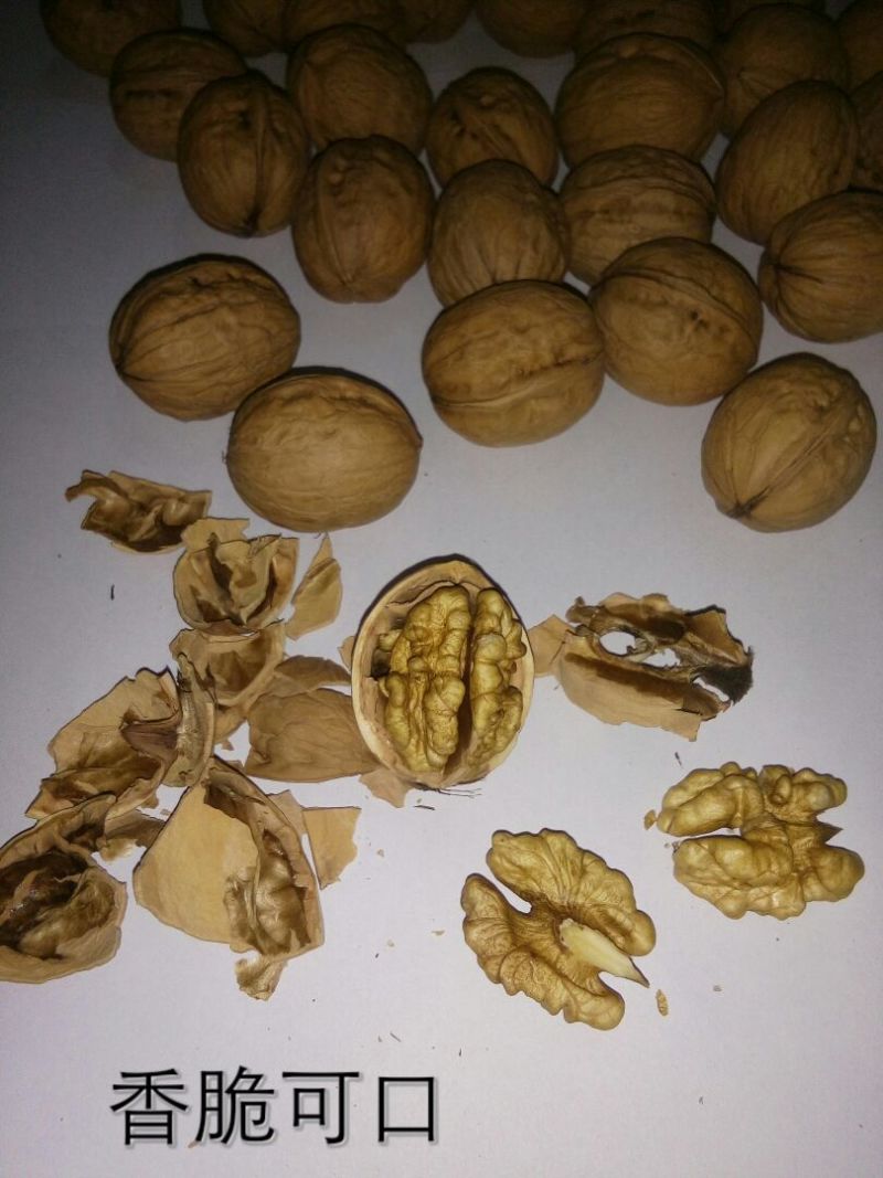 香玲核桃30mm以上去皮
