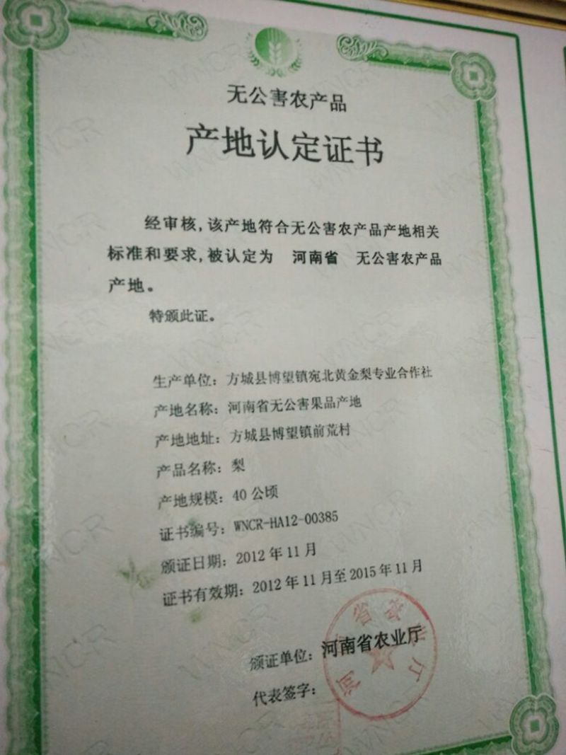 黄金梨200~250g纸袋