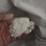 红薯粉丝