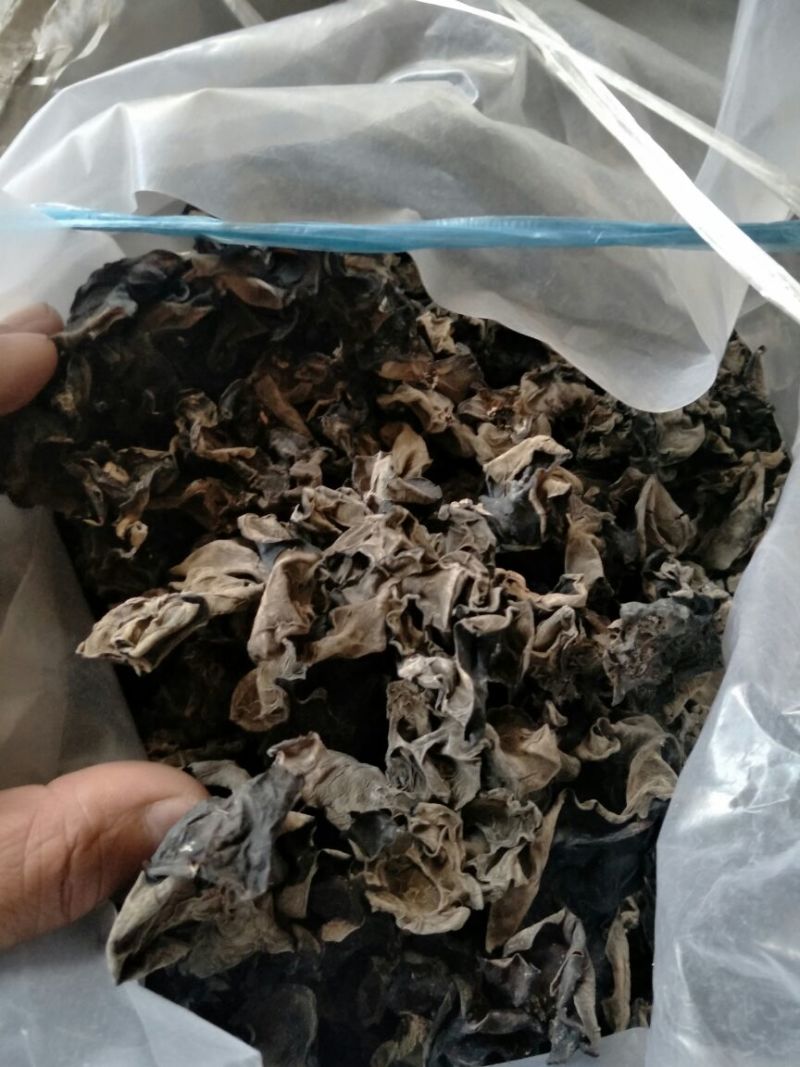 黑木耳一级