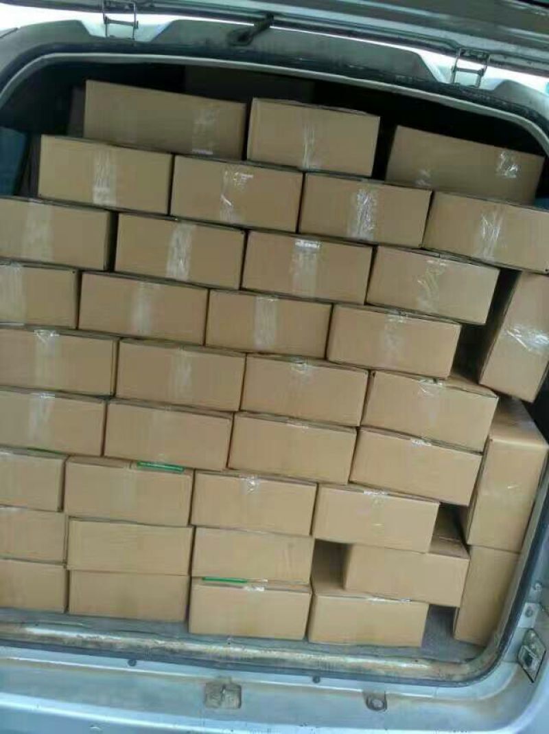 秋月梨450~500g纸箱