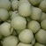 砀山梨200~250g纸袋