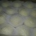 皇冠梨