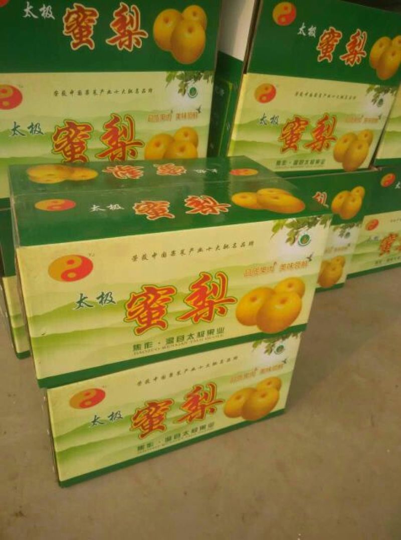 晚秋黄梨500~550g纸箱