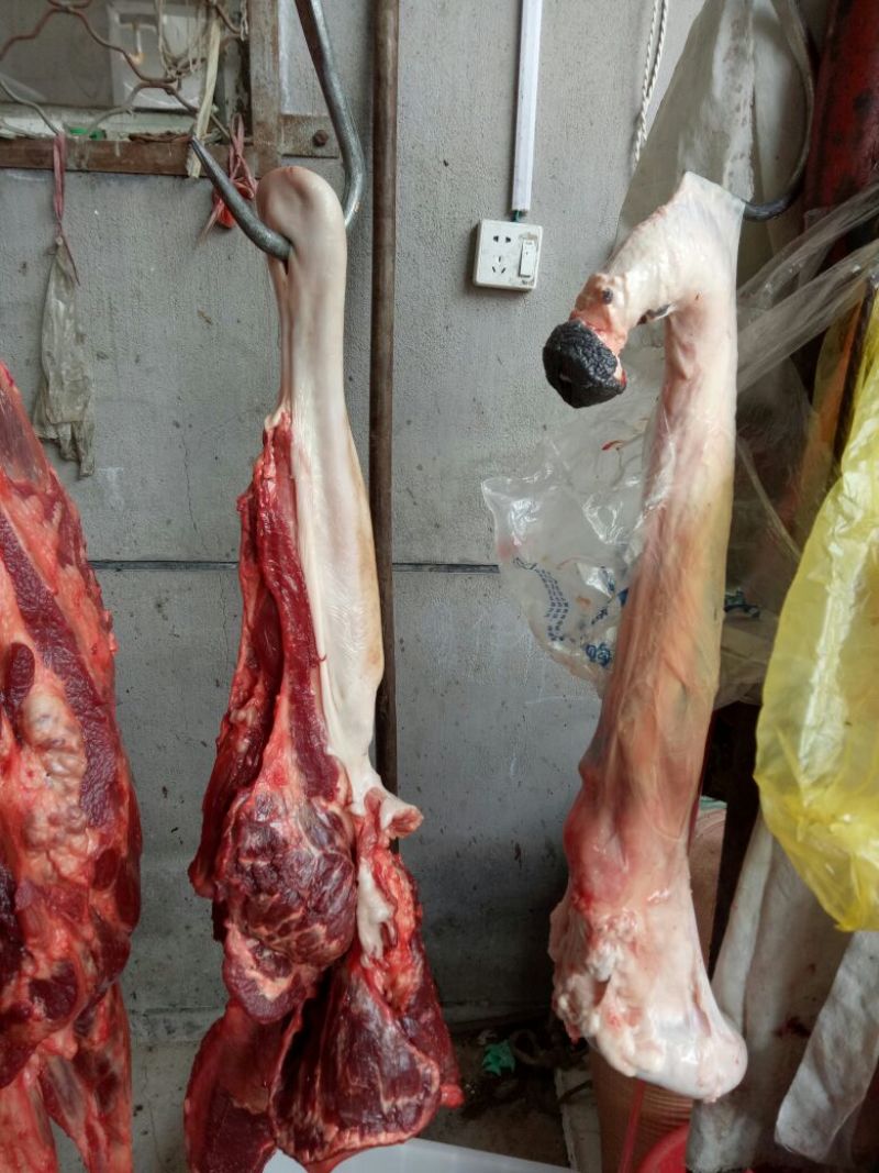 驴肉鲜货
