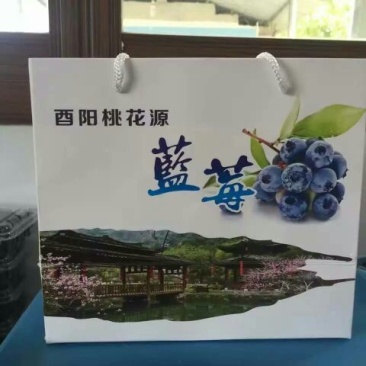 蓝莓4~6mm以上