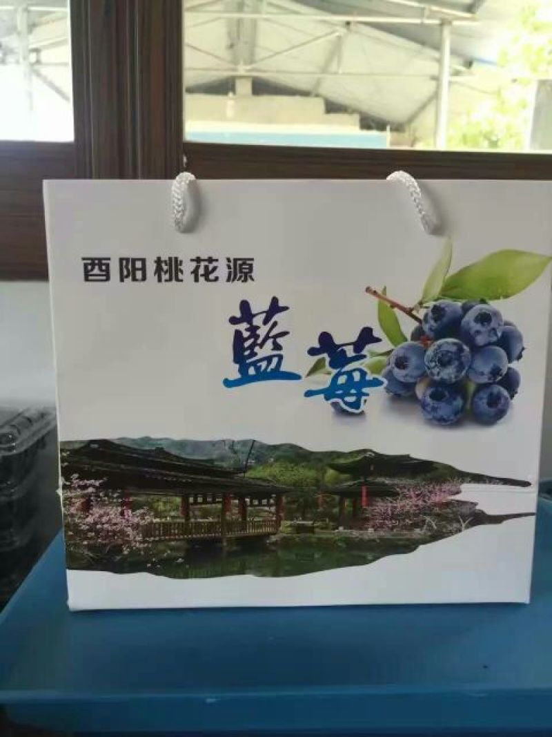 蓝莓4~6mm以上