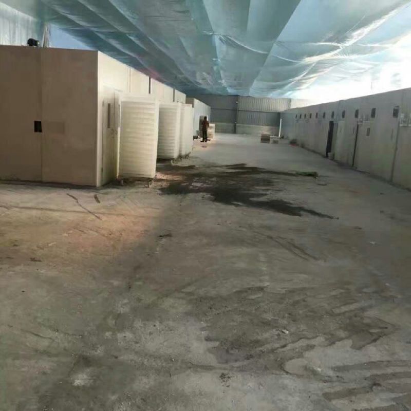 鹅苗250g以下