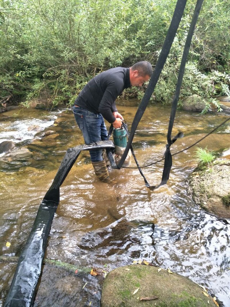 黑山秋耳一级