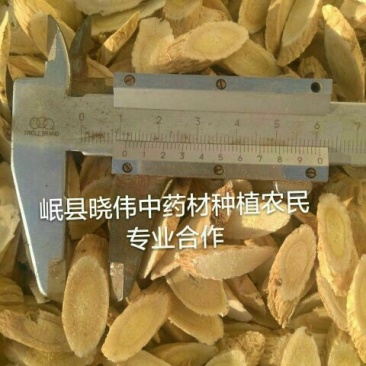 黄芪切片0.8cm