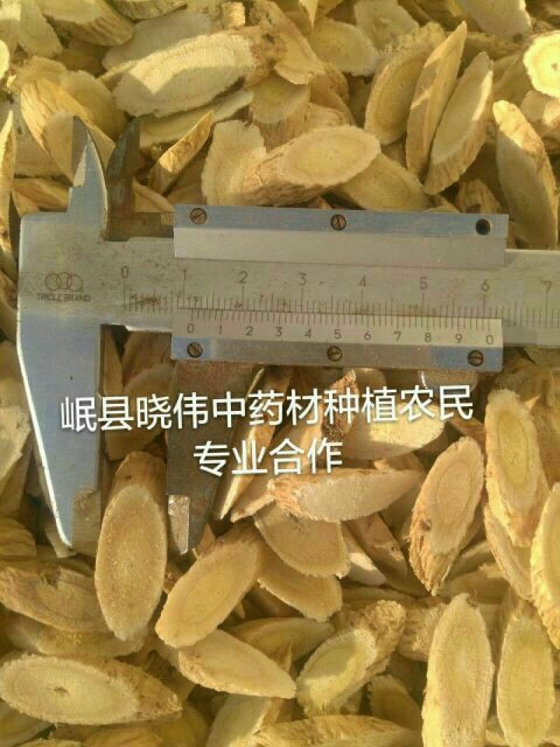 黄芪切片0.8cm
