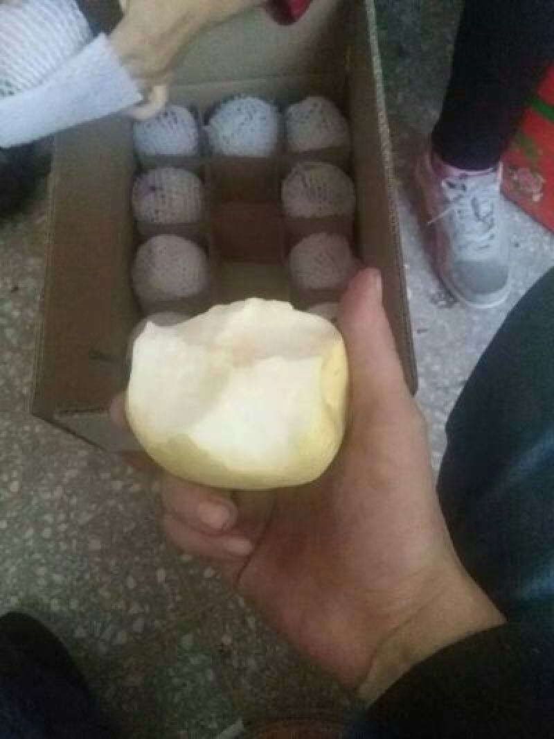 贡梨200~250g纸箱