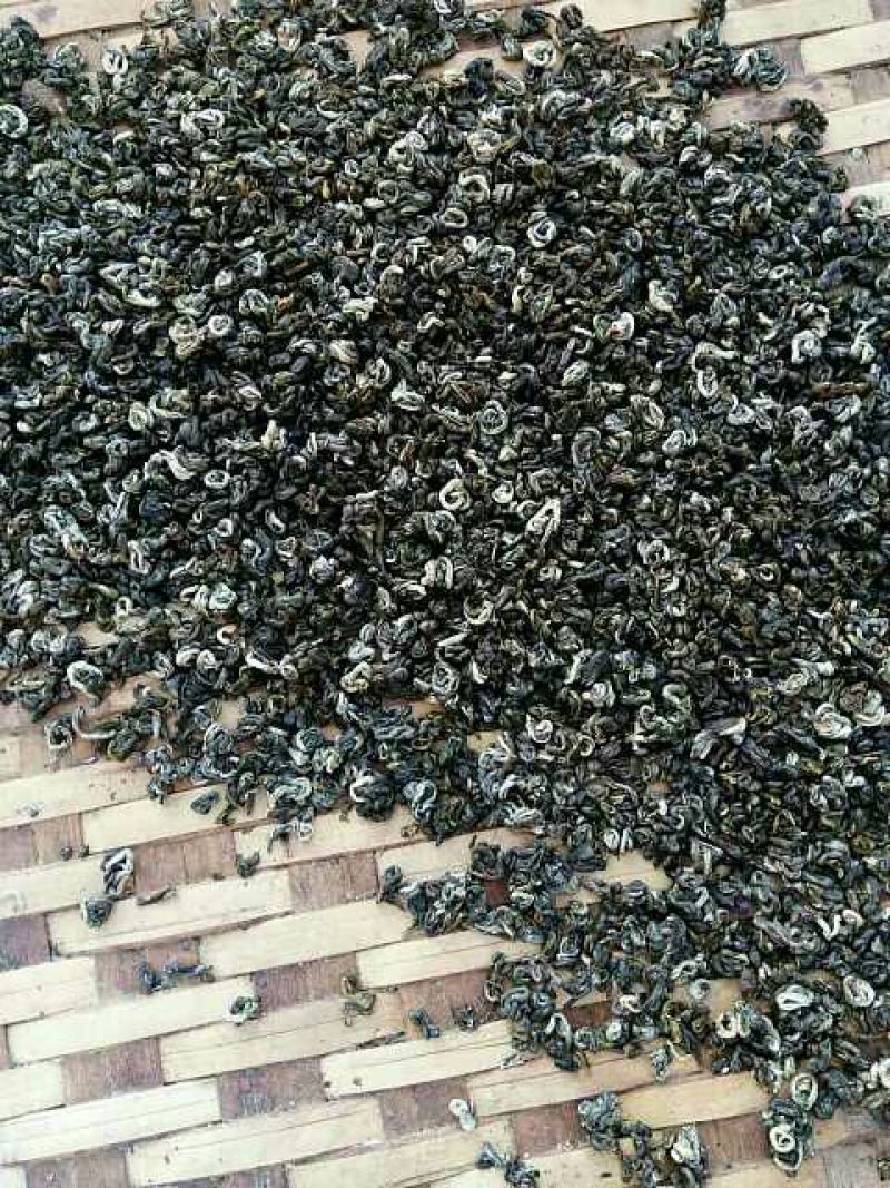 古树普洱茶特级