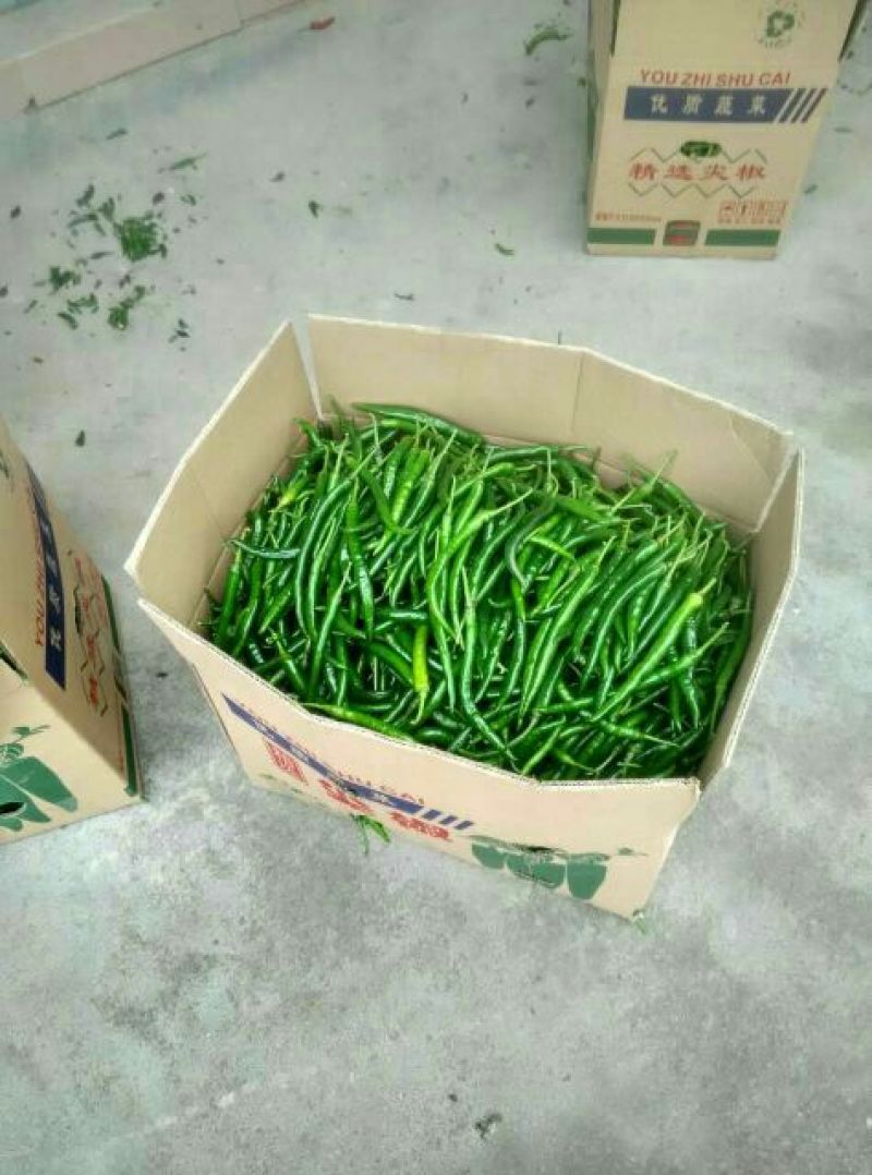 线椒，大青椒