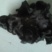 干木耳一级