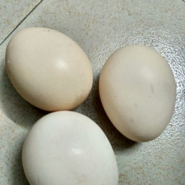 普通鸡蛋食用50g以下