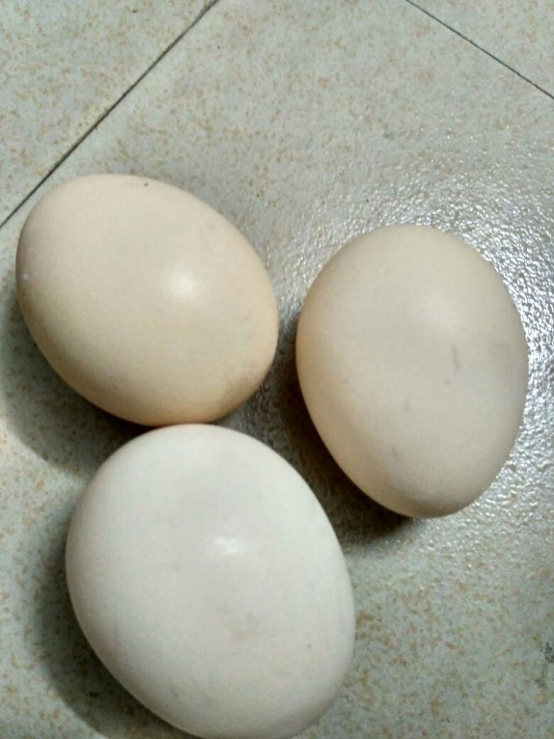 普通鸡蛋食用50g以下